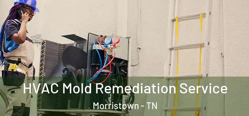  HVAC Mold Remediation Service Morristown - TN