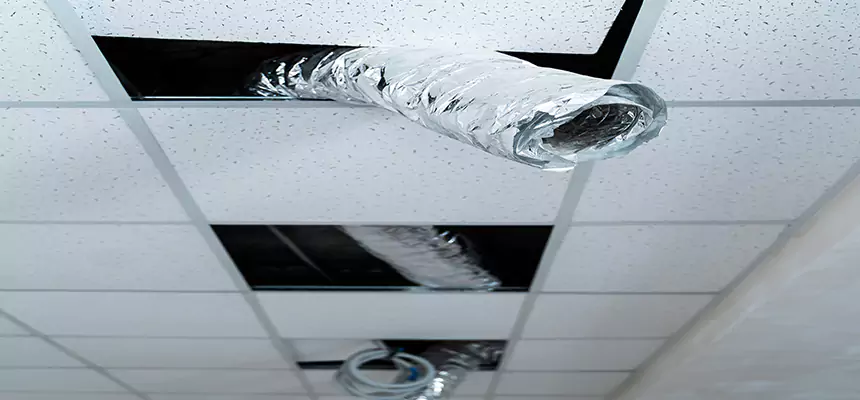 Our Air Duct Pet Hair Removal Services in Morristown, TN