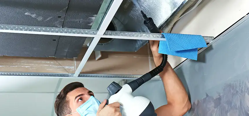 Our Air Duct Rodent Removal Services in Morristown, TN