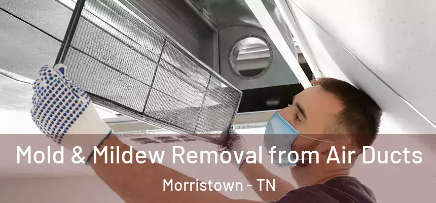  Mold & Mildew Removal from Air Ducts Morristown - TN