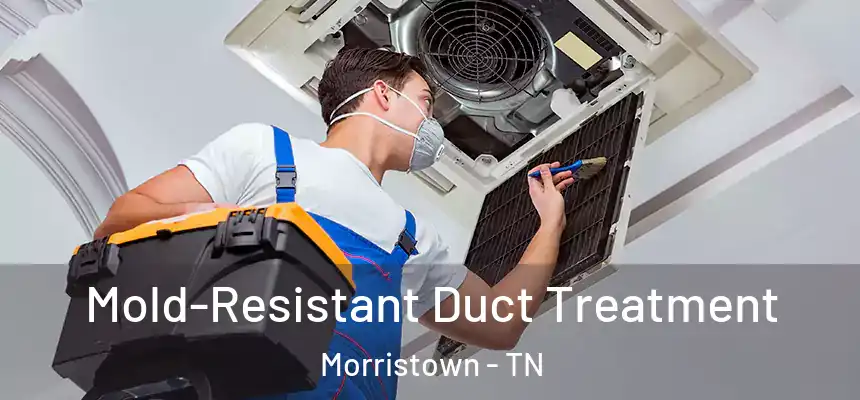  Mold-Resistant Duct Treatment Morristown - TN