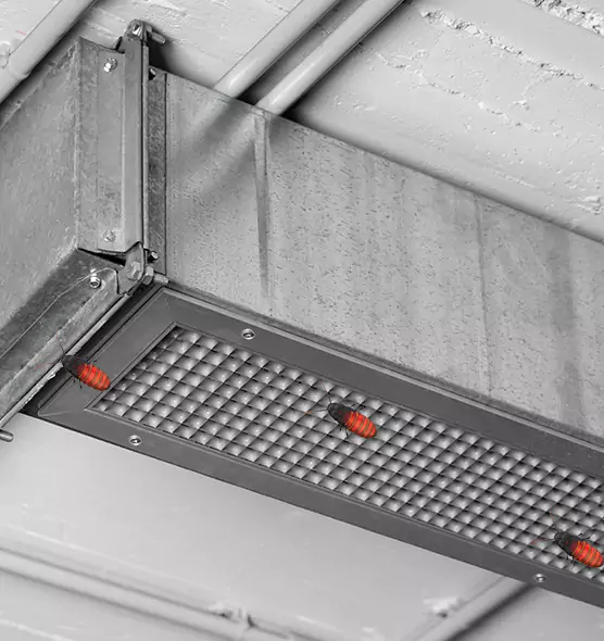 About Air Duct Cockroach Removal in Morristown, TN