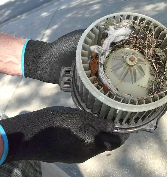 About Air Duct Mice Removal in Morristown, TN