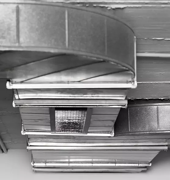 Professional Air Duct Pest Removal in Morristown, TN