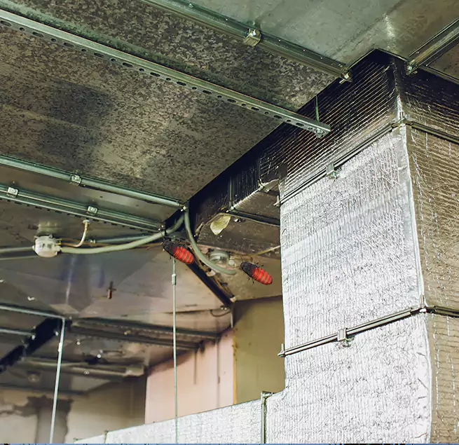 Why Homeowners & Businesses Trust Us in Morristown, TN?