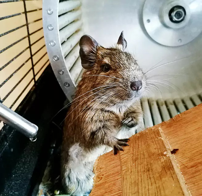 Why Homeowners & Businesses Trust Us Morristown, TN