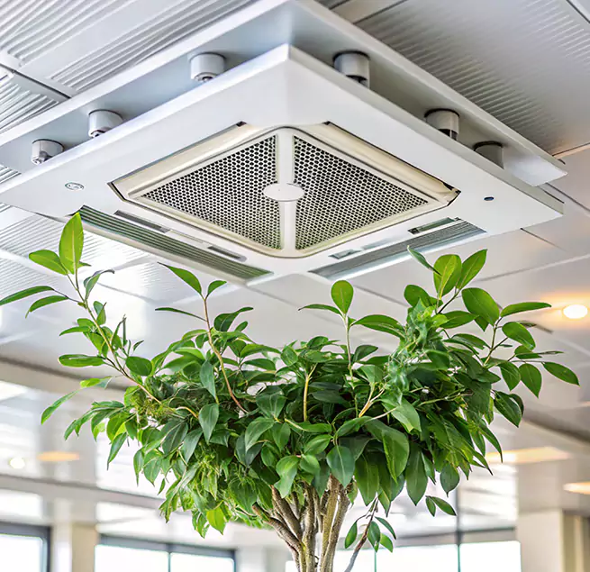 Why Homeowners & Businesses Trust Us in Morristown, TN?